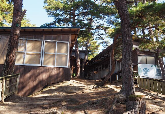 最高の松茸小屋。惜しまれつつ67年の幕を下ろしました。