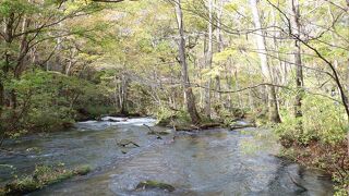 １０月の奥入瀬