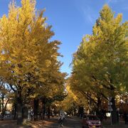 札幌の紅葉スポット