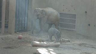 秋の動物園は最高！