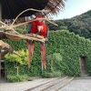 思いっきりふれあえる動物園