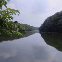 水郷県民の森の大膳池の風景