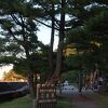 伊勢湾の向こうに知多、渥美半島を望むことができる公園