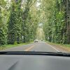 気持ちの良いドライブコース