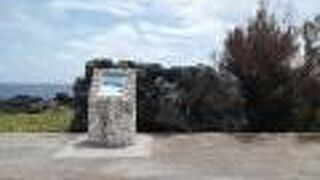 まさかこんなデカい石が…