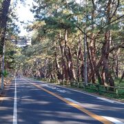 三保の松原、気比の松原と並ぶ日本三大松原のひとつだそうです