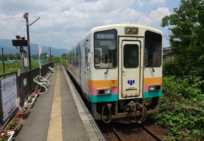 あやめの時期は大混雑