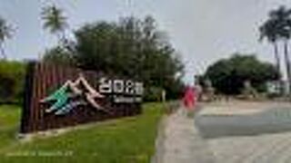 台鉄台中駅から徒歩10分程度の都市公園で、多くのリスを見つけました