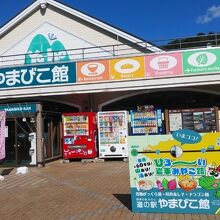 道の駅 やまびこ館