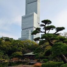 慶沢園～あべのハルカス