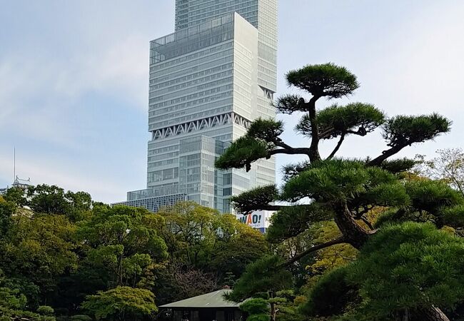 静かでゆったりとした空間に癒やされる。