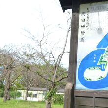 公園内には案内看板が多く、初めての散策でも安心