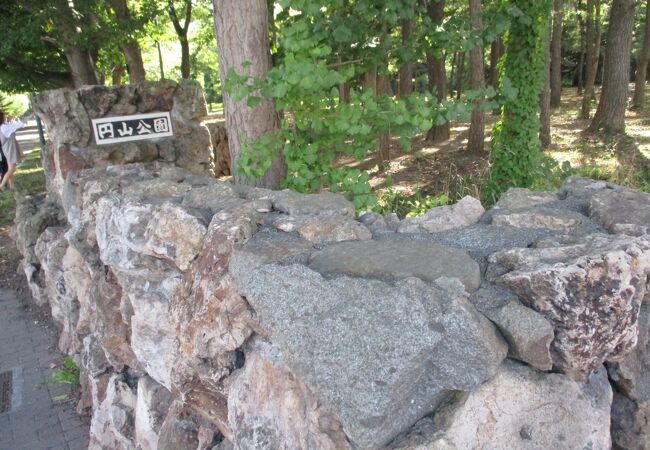 木立の中の公園