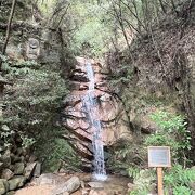 登山道に入ってからすぐ。