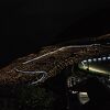 日没すぐがお勧めです。