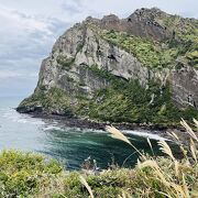 大人気の済州島スポット※休館日には注意！