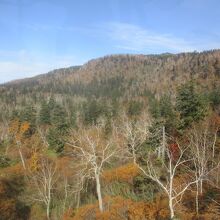 旭岳ロープウェイ