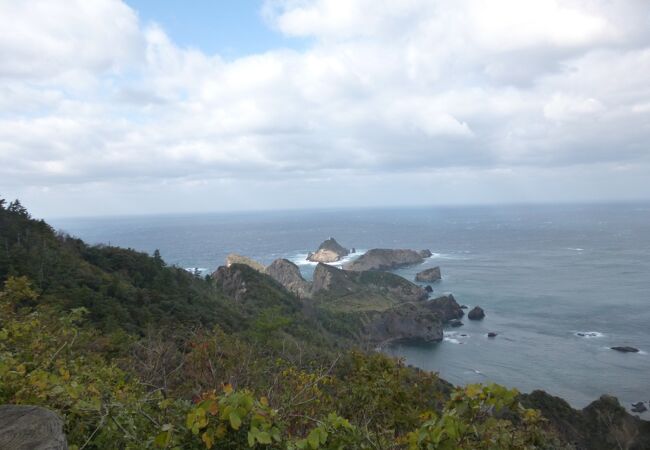 白島崎を見渡せます。