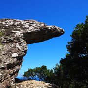 お手軽登山