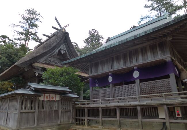 水若酢神社