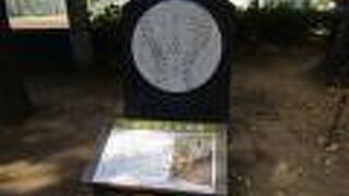 草野球専用球場の正岡子規記念球場