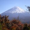 富士山河口湖紅葉祭りたけなわ