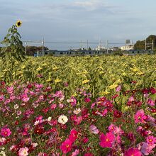 大宮第二公園