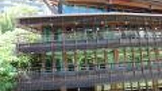 インスタ映えしそうなスポット