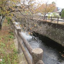 中野川