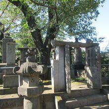 龍光寺丸亀藩京極家廟所