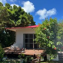 快適なウッドデッキ