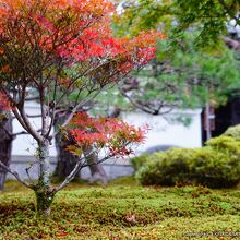 圓光寺