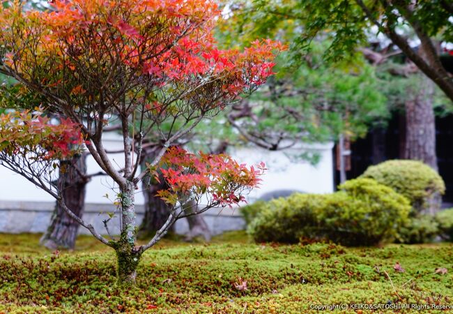 洛北の紅葉の名所「圓光寺」に行ってみた