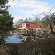 世田谷散策(15)烏山寺町で高源院に行きました