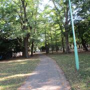 札幌郊外の自然豊かな公園