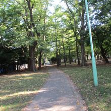 円山公園
