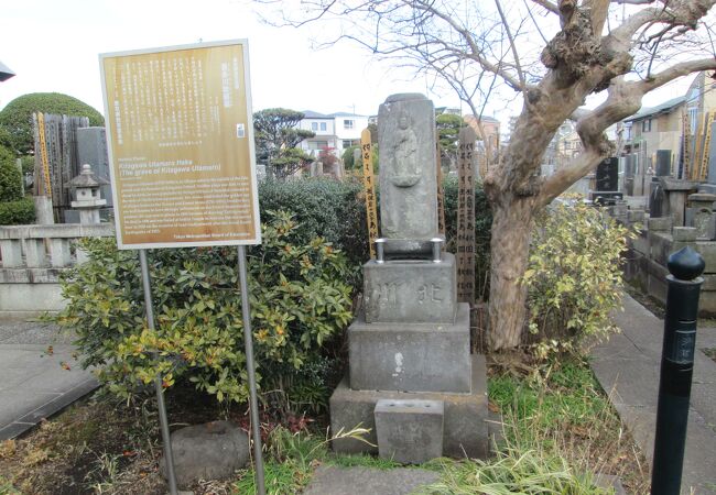 世田谷散策(15)烏山寺町で専光寺に行きました