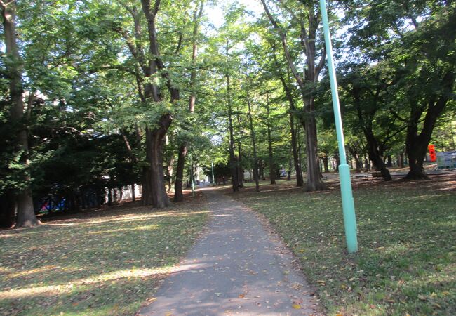 札幌郊外の自然豊かな公園