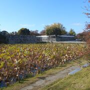 天守台（展望台）から玄界灘方面が見渡せます