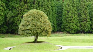 室生山上公園芸術の森