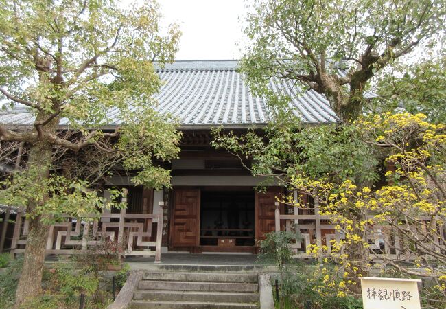 伏見稲荷神社の近くにお寺があり、伊藤若冲の墓地や五百羅漢があります。