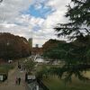 都会の広い公園