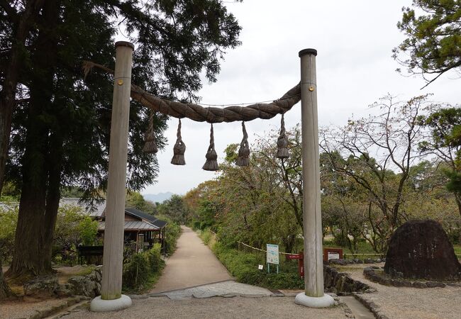 心癒される光景が随所に見られます