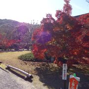 四季の風景を楽しむ事が出来る門跡寺院