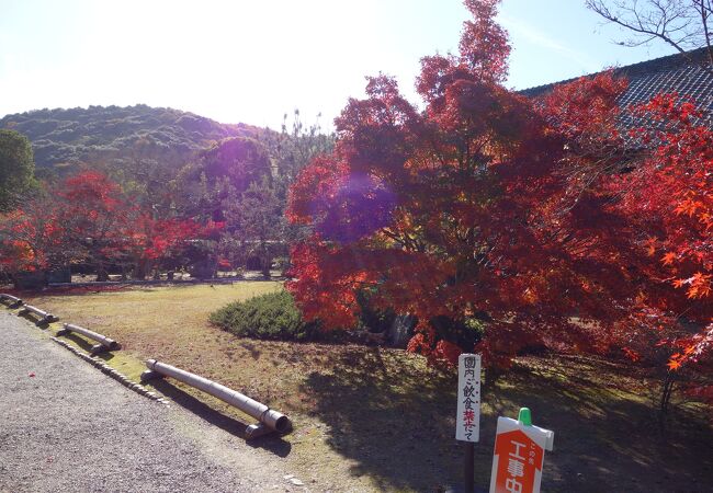 四季の風景を楽しむ事が出来る門跡寺院