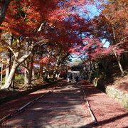 山科区にある桜と紅葉の名所となっている門跡寺院