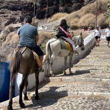 登りも下りも同じ道です