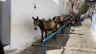 ロバに乗るのがオススメ