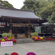 平塚七福神めぐり（弁財天）