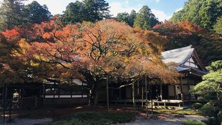 雷山千如寺大悲王院庭園